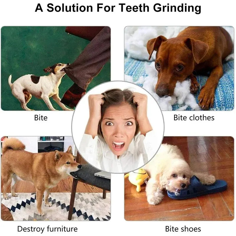 Collage of dogs using treat ball for teeth grinding and destructive chewing solution