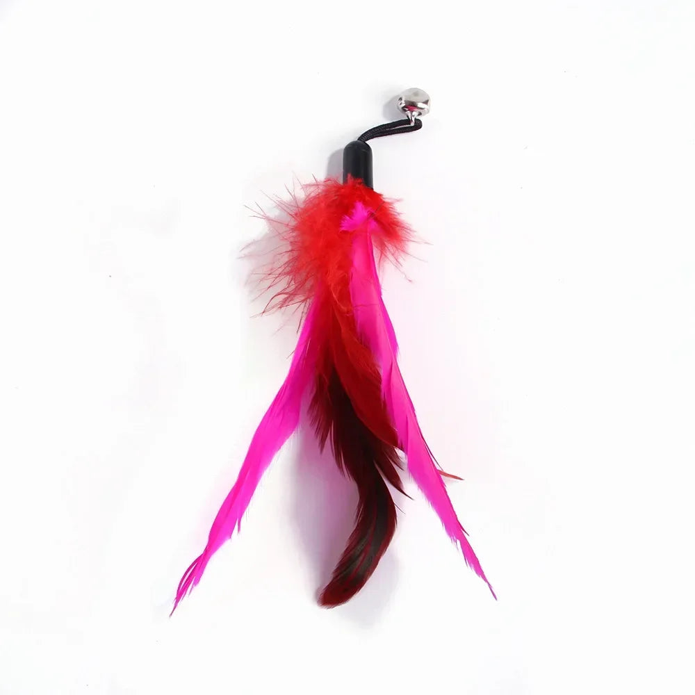 Interactive Cat Feather Wand Toy Set