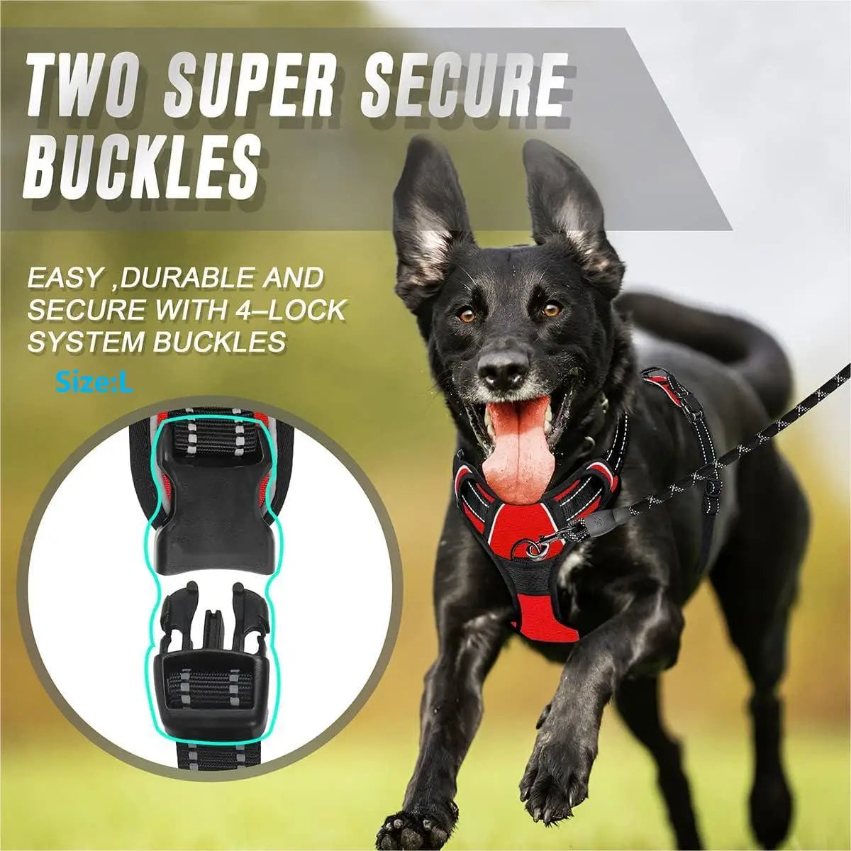 Dog harness two secure buckle closure system