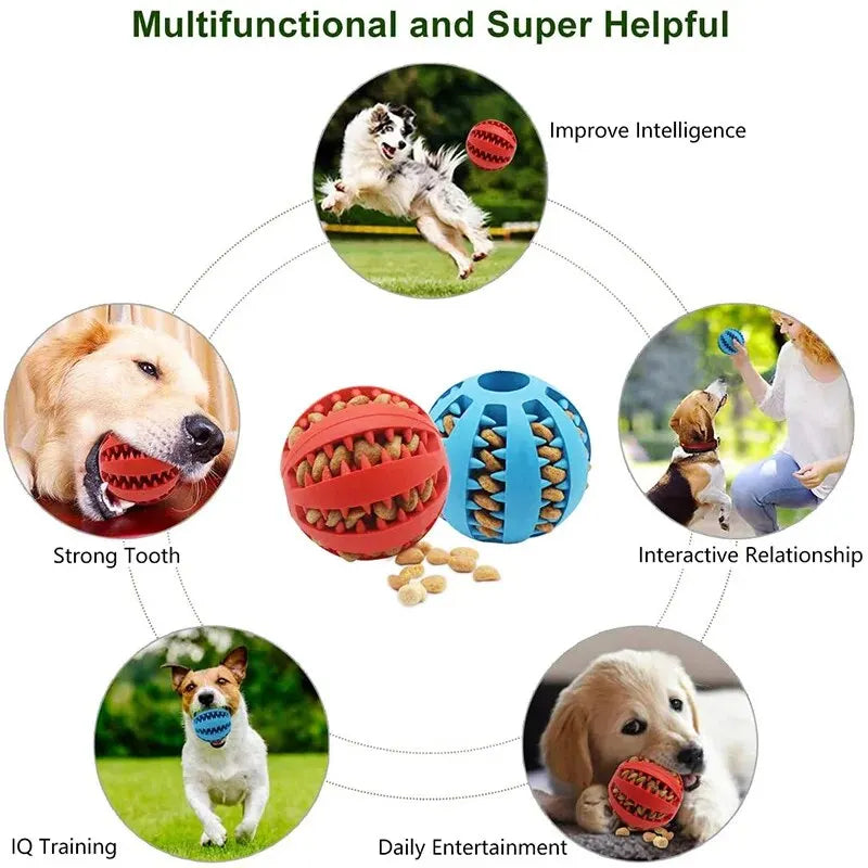 Infographic showing multifunctional dog treat ball benefits training intelligence entertainment