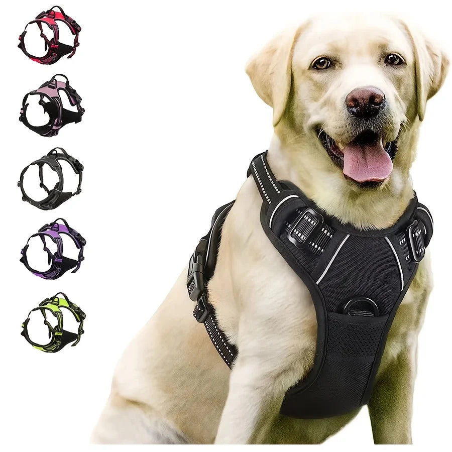 No-pull dog harness on Labrador with color options