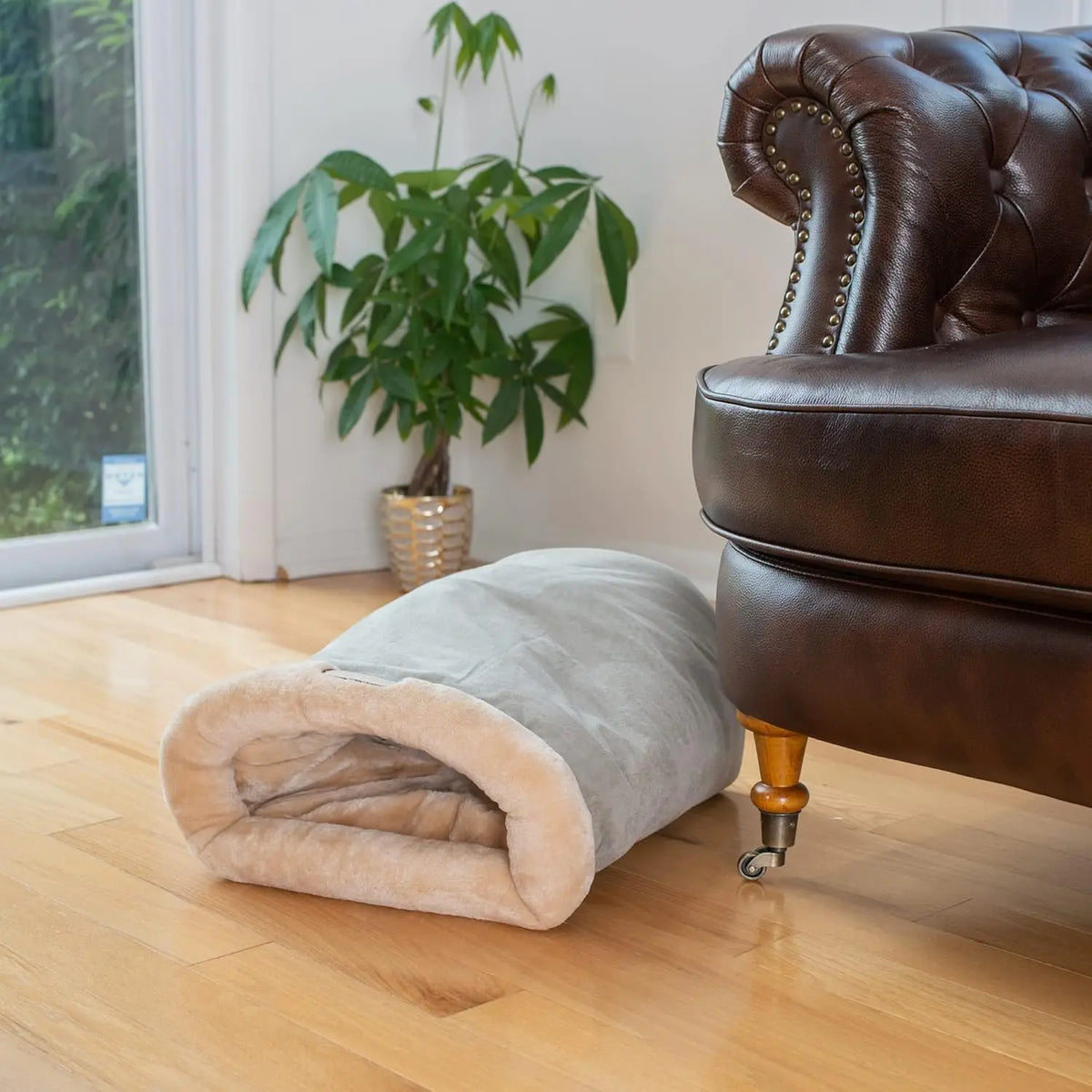 Warm cat sleeping bag with tabby cat inside cozy winter nest bed near seat and plant