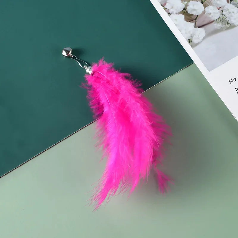 Interactive Cat Feather Wand Toy Set