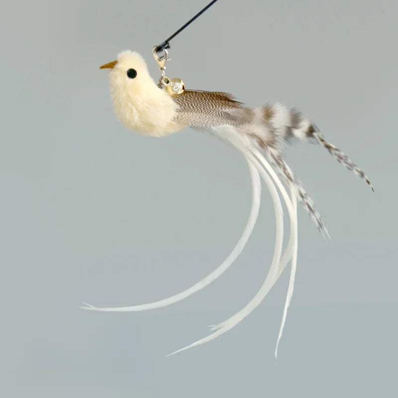 Interactive Cat Feather Wand Toy Set