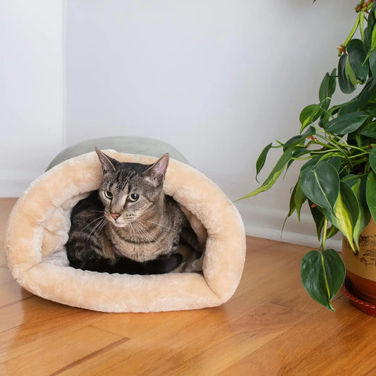 Semi enclosed cat sleeping bag on wooden floor home decor style