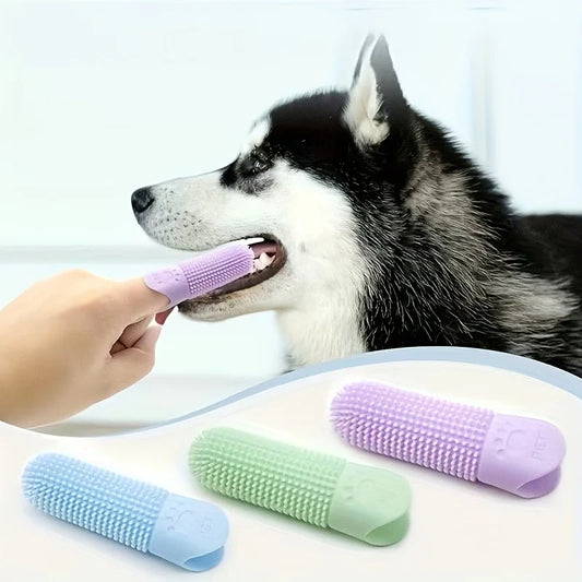 Person brushing husky teeth with purple silicone finger toothbrush