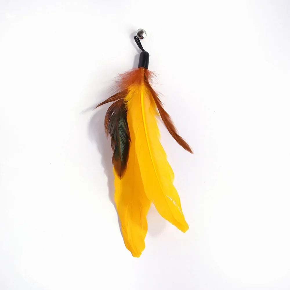 Interactive Cat Feather Wand Toy Set