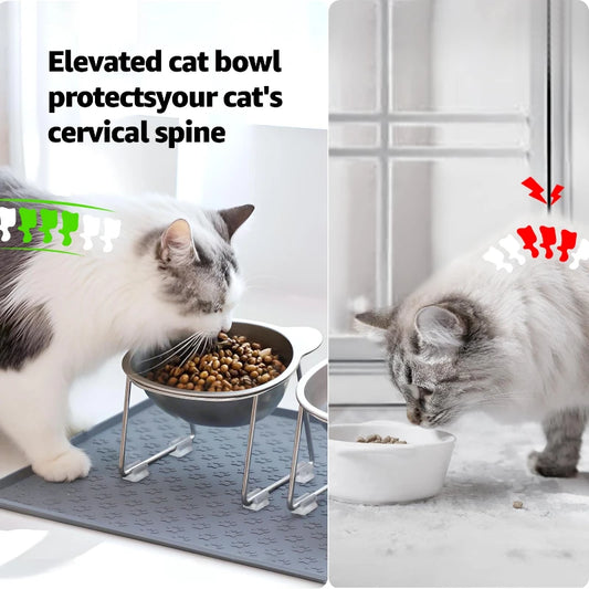 Comparison of two cats eating side by side one with elevated bowl protecting cervical spine