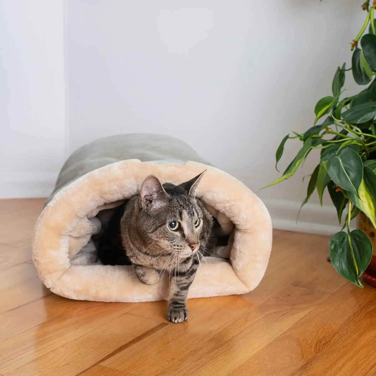 Soft plush interior of warm cat sleeping bag thick padded walls