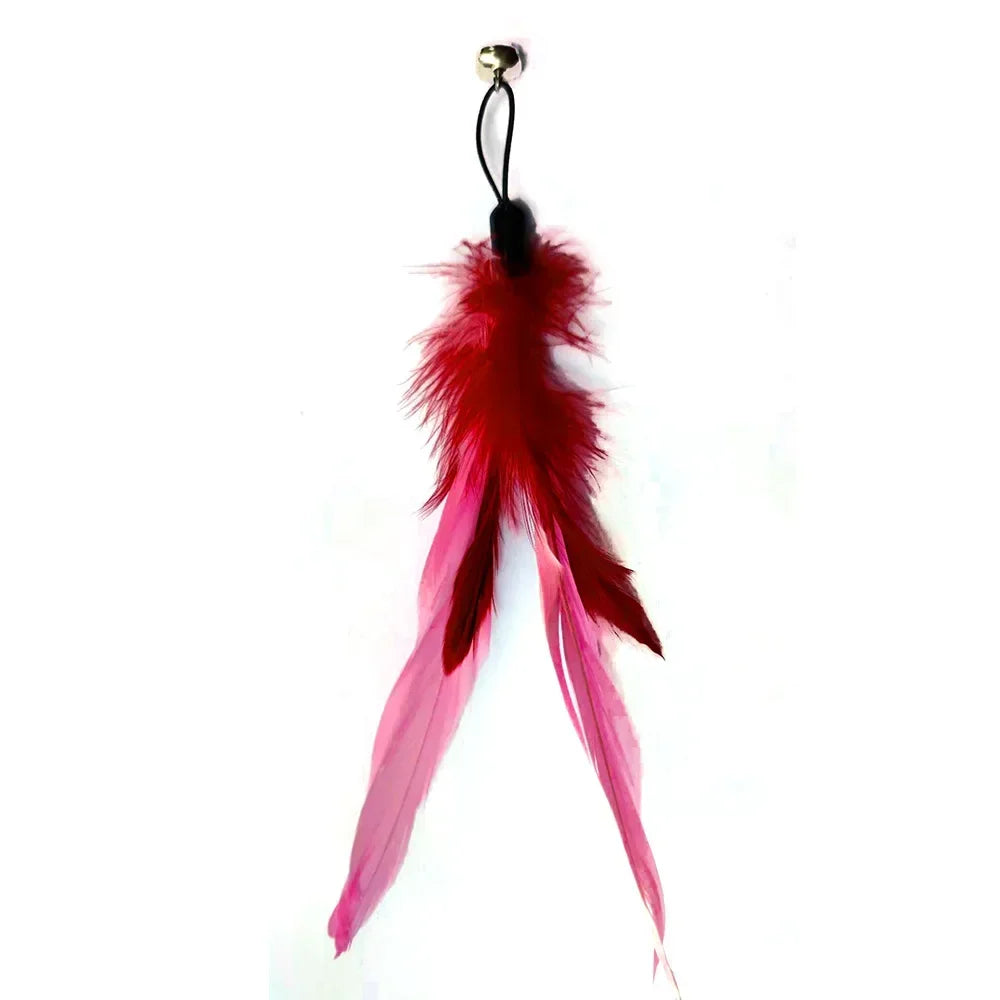 Interactive Cat Feather Wand Toy Set