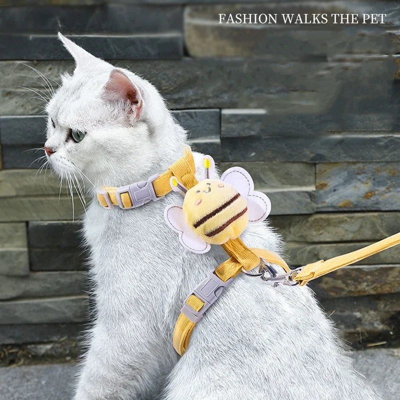 Cat wearing bee harness and leash outdoors