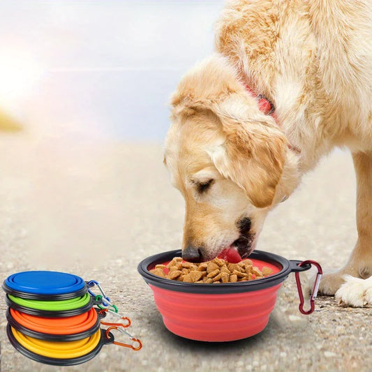 Golden retriever eating from red collapsible silicone travel bowl outdoors